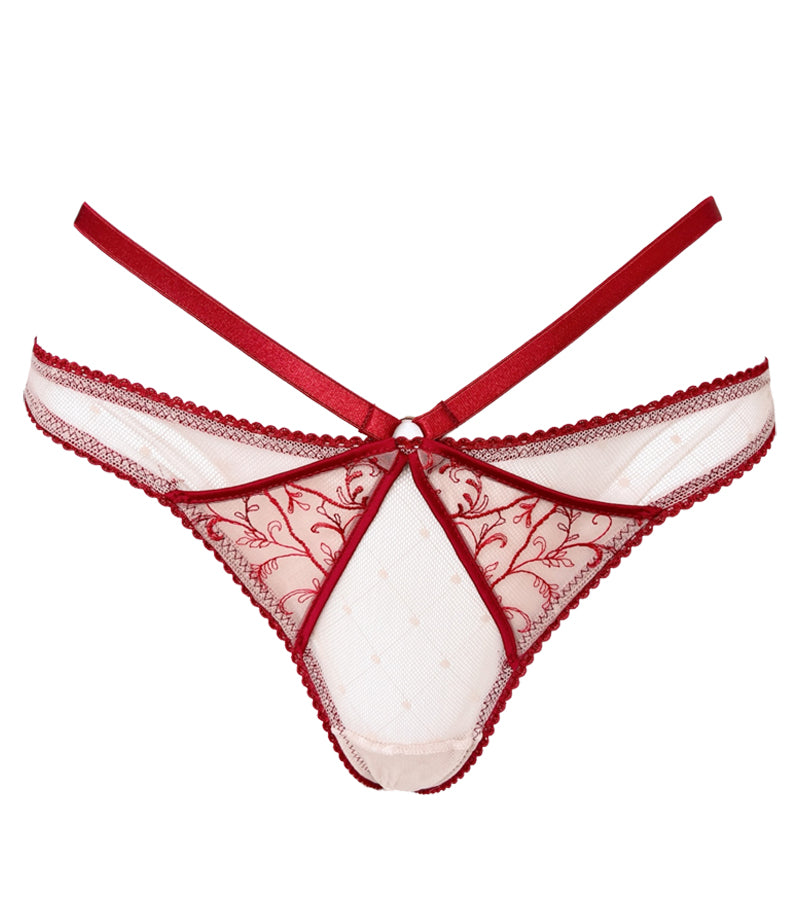 CARMINE BOTTOM
